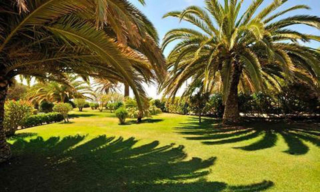 Torralta Alvor Beach 601 외부 사진